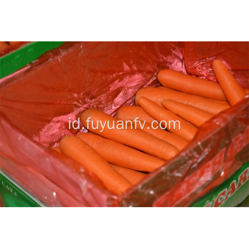 Sayuran segar pasokan pabrik wortel langsung